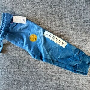 Cat & Jack Blue Jogger Pants